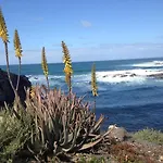 La Piedra Directo En Playa La Oliva