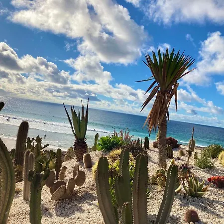 Апартаменты La Piedra Directo En Playa *