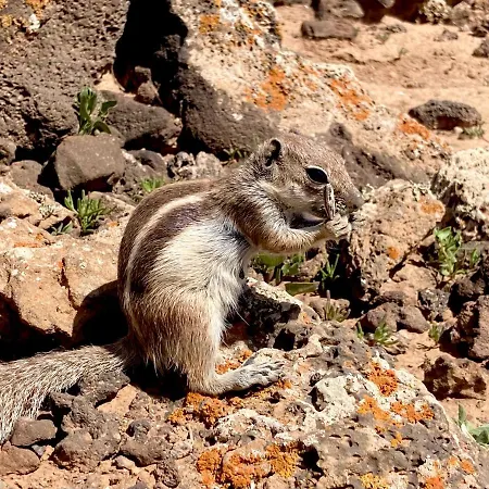 La Piedra Directo En Playa Апартаменты