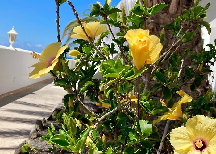 La Piedra Directo En Playa * لا أوليفا