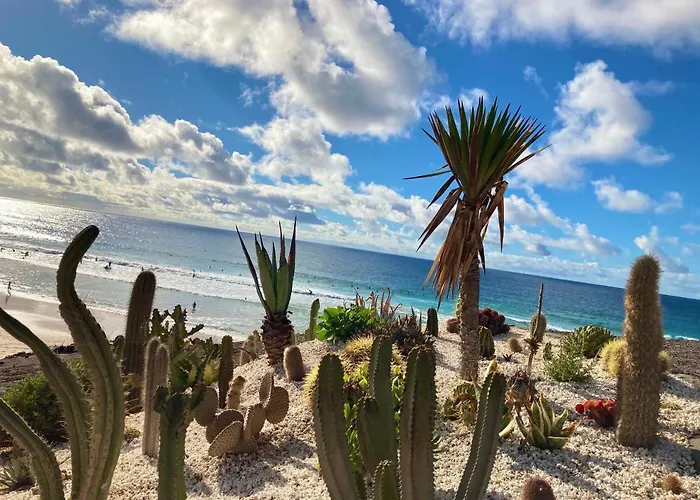 Apartamento La Piedra Directo En Playa *