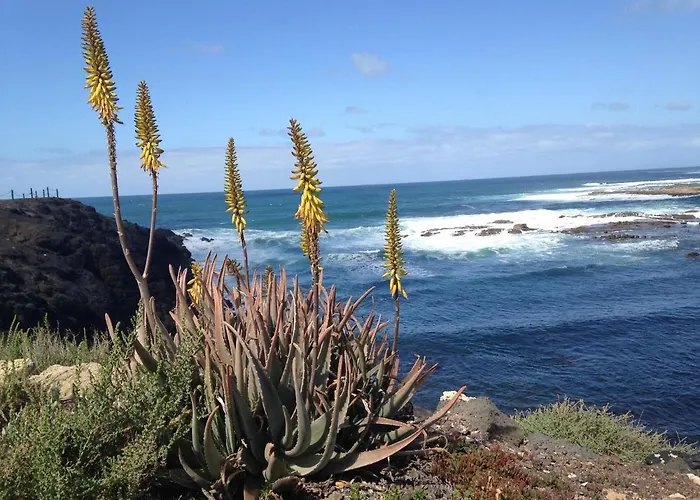 La Piedra Directo En Playa لا أوليفا