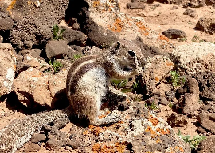 La Piedra Directo En Playa Lägenhet
