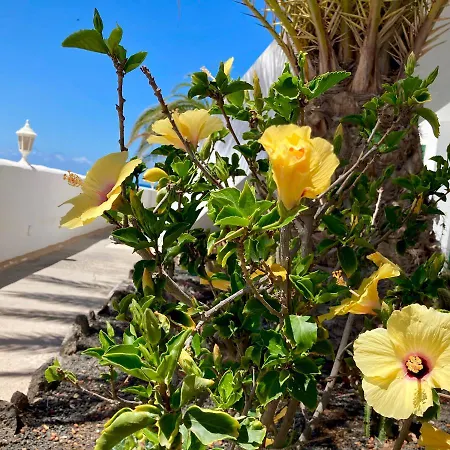 La Piedra Directo En Playa * La Oliva