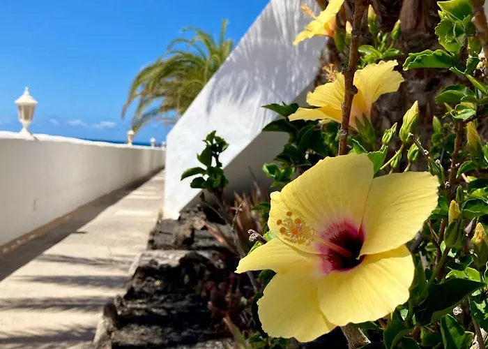 La Piedra Directo En Playa Apartment La Oliva